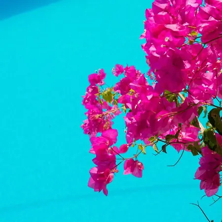 Отель Terra Blue Santorini Камари